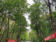 -大蜀山国家森林公园