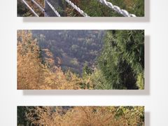 -香山公园