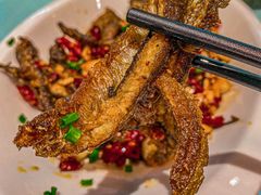 -张氏父子常德肠子馆(红星总店)