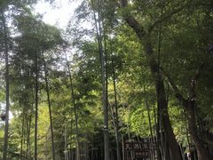 -宝岩生态观光园