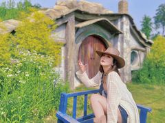 -大塘金香草谷