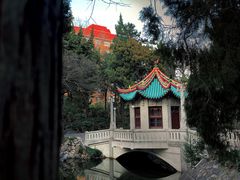-叶家花园