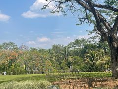 -中国科学院西双版纳热带植物园