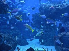 -海合安成都极地海洋公园