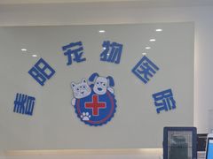 -暖阳宠物医院·犬猫康复中心·骨科