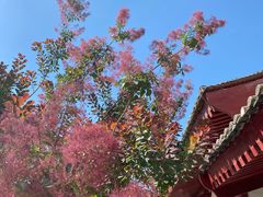 -法门文化景区
