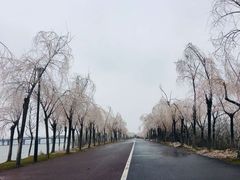 -艾溪湖湿地公园