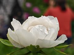 -太阳宫公园