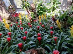 -北京植物园-展览温室