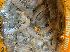 -沙田台山海鲜·酣客酒窖