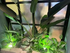 -渝乡辣婆婆·川菜 水煮鱼(安平店)