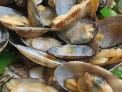 -宾朋海鲜特色美食餐厅·纯手工鲅鱼水饺(兴海路店)