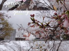 -龙美术馆(西岸馆)