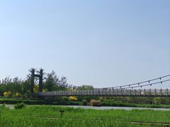 -西青郊野公园