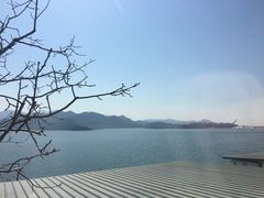 -望湖烤鱼