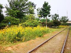 -永定河休闲森林公园