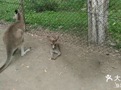 -可伦宾野生动物保护区