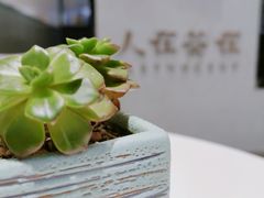 -人在茶在(华南店)