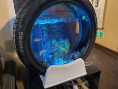 -卧龙堡客栈·中餐厅(古北水镇店)