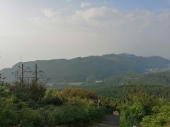 -武陵山森林公园