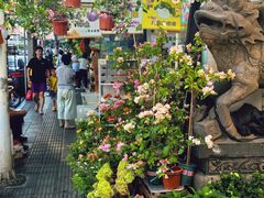 -溪岸路花鸟市场