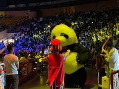 -俄罗斯国家大马戏团