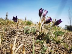 -鹫峰国家森林公园