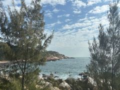 -广东惠东海龟国家级自然保护区