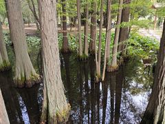 -东湖落雁景区