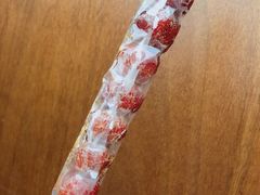 -和禄德冰糖葫芦