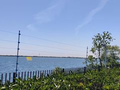 -江滩湿地公园
