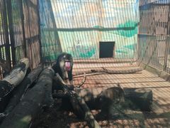 -昆明动物园