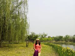 -东郊湿地公园