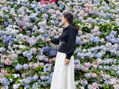 -苏州上方山国家森林公园