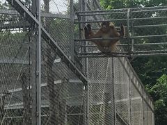 -哈尔滨北方森林动物园