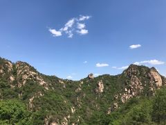 -大岭沟猕猴桃谷风景区
