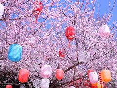 -三里河公园