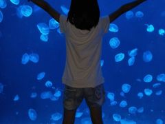 -上海海洋水族馆-停车场