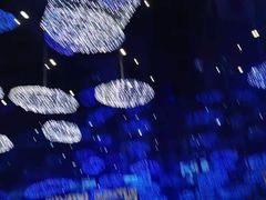 -盒马X会员店(上海森兰商都店)