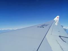 -半天妖烤鱼(方庄店)