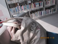 -金陵图书馆