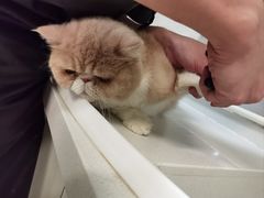 -沐沐家宠物(成寿寺店)