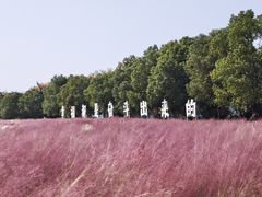 -花博汇(知音花月夜)