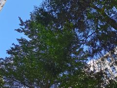 -深圳市人才园(深南大道店)