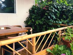 -云朵小院·石锅鱼·野生菌餐厅(蒗放店)