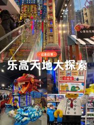 -乐高品牌旗舰店(人民广场店)