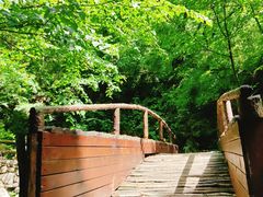 -青峰峡国家森林公园