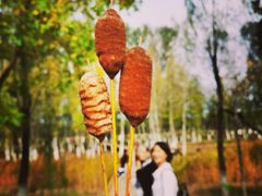 -东郊湿地公园