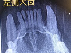 -美联众合动物医院·24h转诊中心