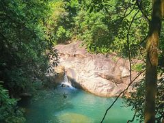 -广州白江湖森林公园